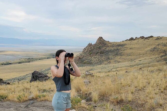 Great Salt Lake Safari - Discover Antelope Island - Timing, comfort, and seasonal reality in 4 hours