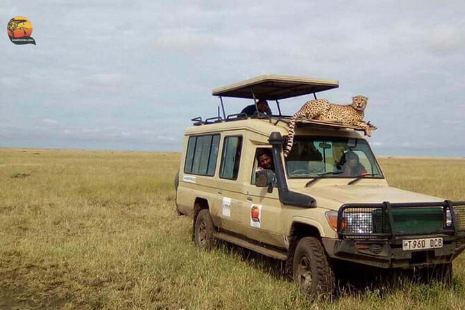 Group Safari 7 Days in Tanzania's Main Parks - Day 1 in Arusha: village experience before the park grind