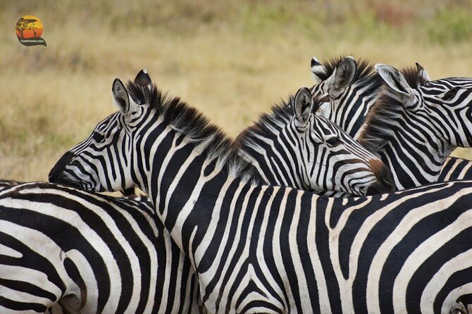 Group Safari 7 Days in Tanzania's Main Parks - Ngorongoro Crater: 6 hours of famous animal density