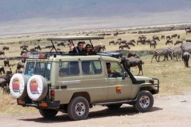 Group Safari 7 Days in Tanzania's Main Parks - Final day in Arusha: market time and airport drop-off