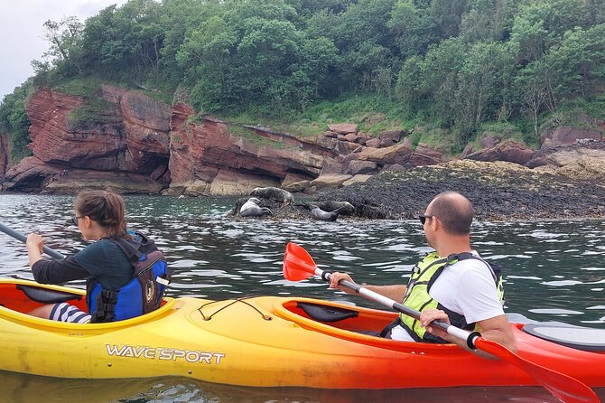 Guided Wildlife and Sea Cave Kayak Safari in English Riviera - Training, Safety, and Getting Wet: What to Wear and Pack