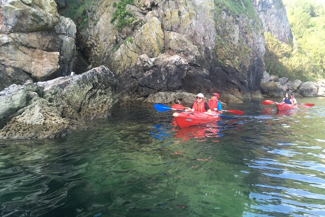 Guided Wildlife and Sea Cave Kayak Safari in English Riviera - Who This Tour Best Fits (and Who Might Want a Different Option)