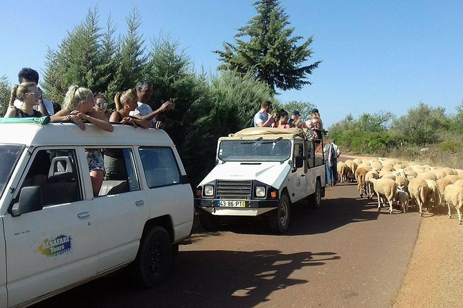 Half-Day Algarve Countryside and Villages Jeep Safari - The jeep ride itself: off-road feel, short stops, and small-group attention