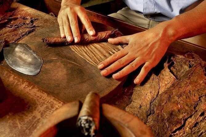 Half-Day Cultural Safari - Basilica of Higüey: why this church stop is more than a photo
