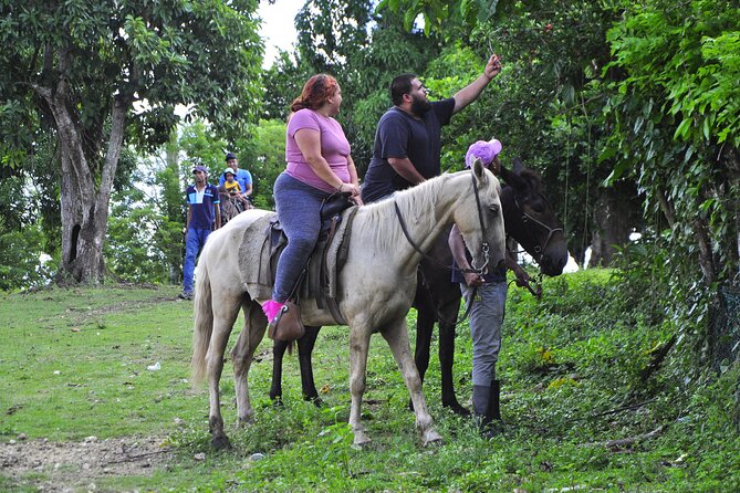 Half-Day Cultural Safari - Anamuya: lunch by the river, drinks, coffee, and a swim plan