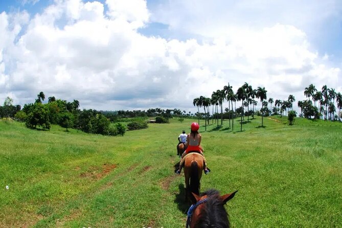 Half-Day Cultural Safari - Tips to make this cultural safari go smoothly