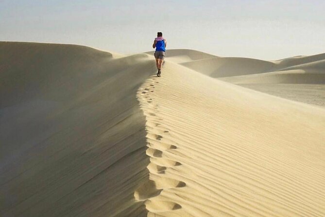 Half Day Desert Safari and Inland Sea - Inland Sea and Khor Al Udaid beach time: where the photos really work