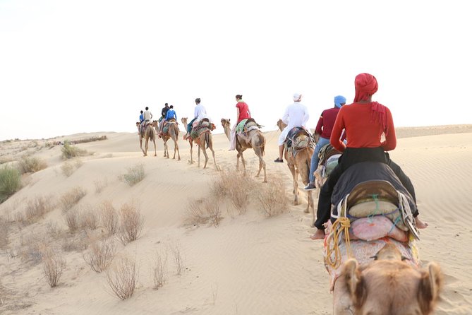 Half Day Desert Safari Jaisalmer - Half-day timing that actually works in Jaisalmer