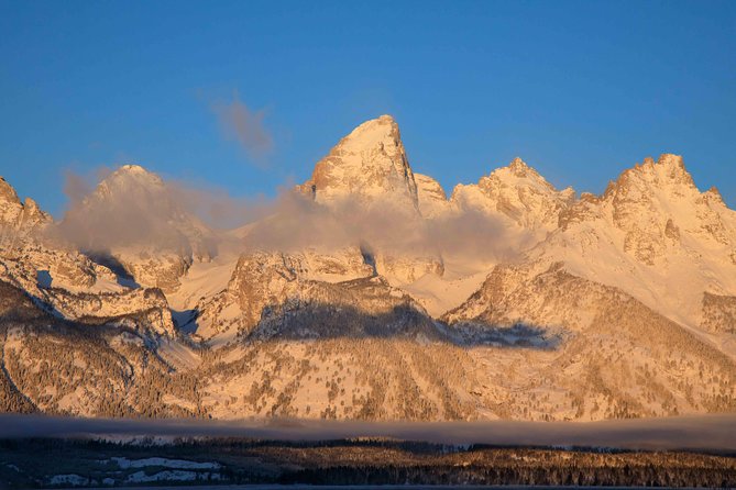 Half-Day Grand Teton Wildlife Private Safari Tour - Guides make or break it: Lee, Dave, Tiffany, and Barry in action