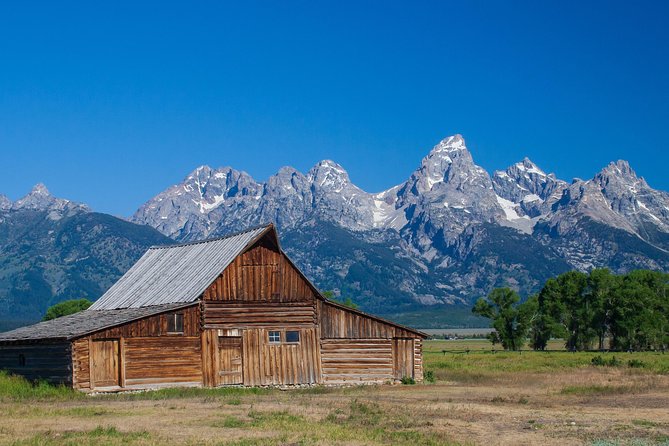 Half-Day Grand Teton Wildlife Safari Private Tour - Key Things I’d Be Excited About