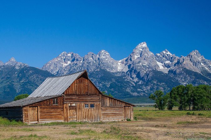 Half-Day Grand Teton Wildlife Safari Private Tour - Grand Teton National Park Stops: 30 Minutes Each to Scan, Interpret, and Adjust