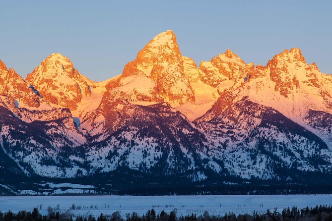 Half Day Grand Teton Wildlife Safari Tour - Pickup and timing: how to make it painless from Jackson Hole