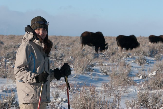 Half Day Grand Teton Wildlife Safari Tour - Price and value: $170 for a half-day with gear and a guide