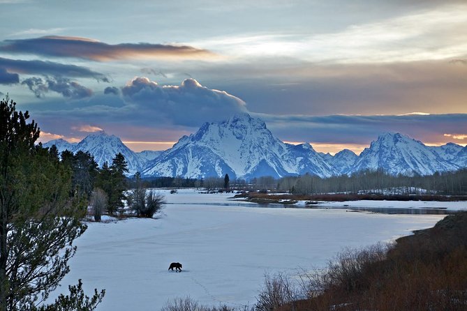 Half Day Group Sunrise Wildlife Safari - The Jackson Hole hotel pickup: more than a convenience