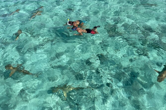 Half day lagoon safari tour in Bora Bora- Shared tour - Key highlights to know before you go