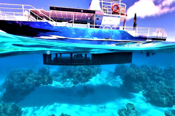 Half day lagoon safari tour in Bora Bora- Shared tour - The guides and captain style: funny, focused, and safety-first
