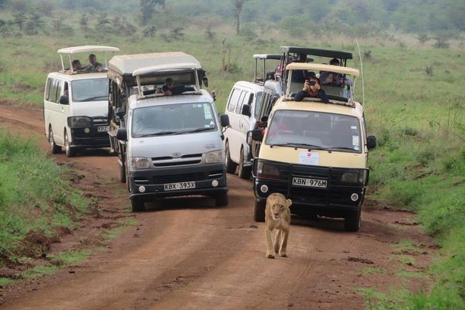 Half-Day Nairobi National Park Safari from Nairobi with Free Pickup - Who Should Book This Half-Day Safari, and Who Might Prefer More Time