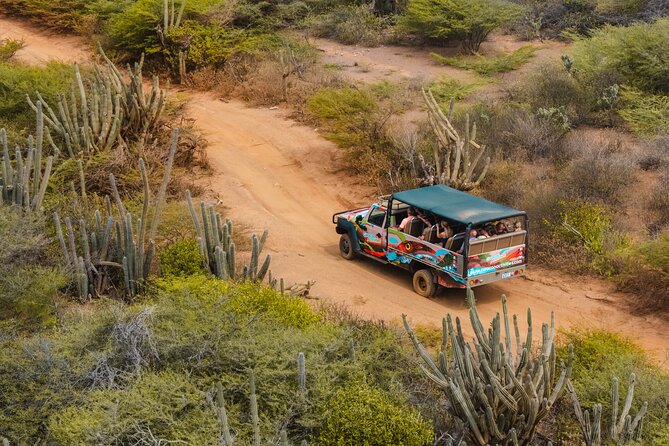 Half Day Off-Road & Snorkel Safari - Half-day 4x4 + snorkel: what you really get in four hours