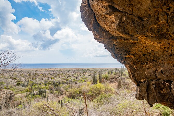 Half Day Off-Road & Snorkel Safari - Director’s Bay snorkeling: your 45-minute window in the water