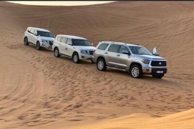 Half-Day Private Morning Desert Safari by 4x4 Car - Pickup and private comfort in an air-conditioned 4x4 transfer