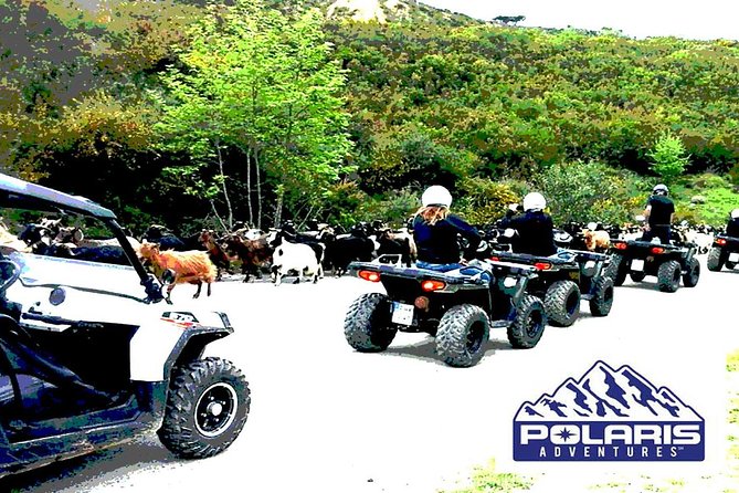 Half-Day Rethymno Quad Safari - What’s included (and what you’ll likely pay for)