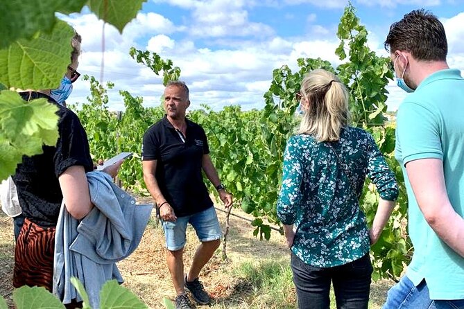 Half Day Safari Tour with Wine Tasting - Quinta do Canhoto: the winery tasting plus local food board