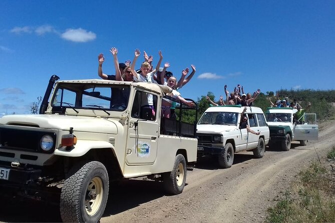 Half Day Safari Tour with Wine Tasting - Who should book this safari + wine tasting