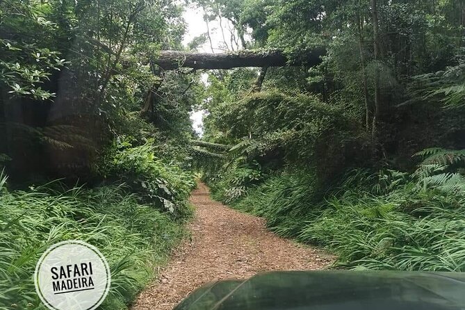 Half-Day Small-Group Madeira Village Safari from Funchal - Why This Half-Day Madeira Village Safari Fits So Well