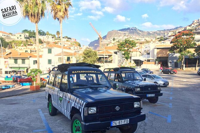 Half-Day Small-Group Madeira Village Safari from Funchal - The Jeep Reality: Open-Air Views, Narrow Roads, and Seat Trade-Offs