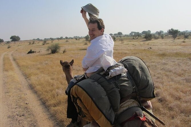 Half-Day Sunset Desert Safari - Key Points Before You Go