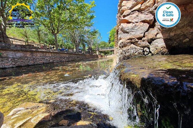 Half Day Tour with Jeep Safari in the Algarve Mountains - Stop 3: Quinta Do Goji Farm and the Honey/Medronho Tasting