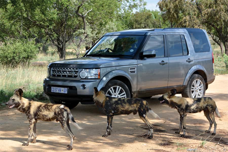 Hartbeespoort: Self-Drive Lion and Safari Park Tour - Key takeaways before you pick a time slot