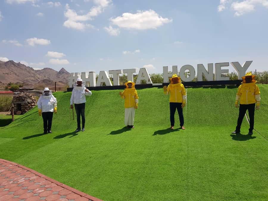 Hatta Safari & Honey Bee Garden Visit - Price and Value for a $93 Small-Group Morning