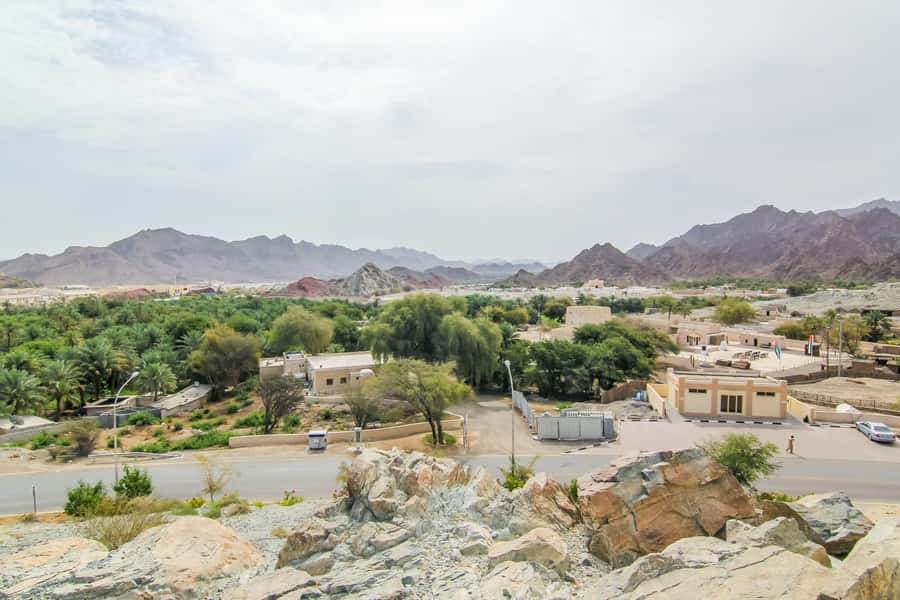 Hatta Safari & Honey Bee Garden Visit - The Early Drive: Pickup Timing and Total Time