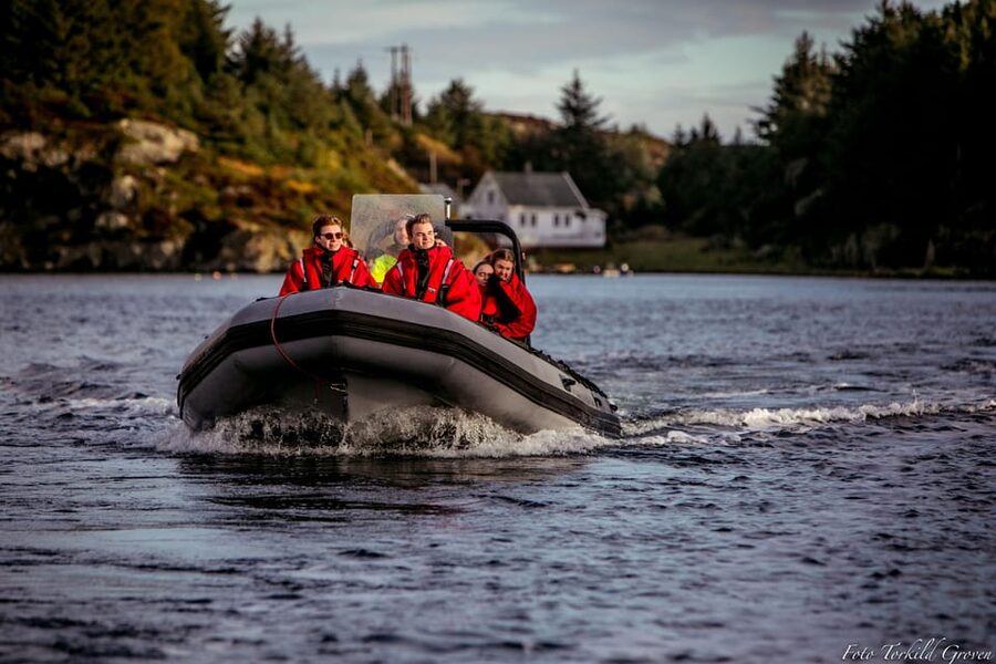 Haugesund: RIB Safari to the island communities - Haugesund Straits to Open Ocean: Why the Route Feels Special