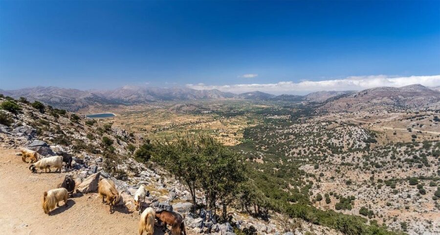Heraklion: Sunset Safari with Dinner & Prosecco - Kastamonitsa: raki tasting, olive oil, and a village you can actually feel