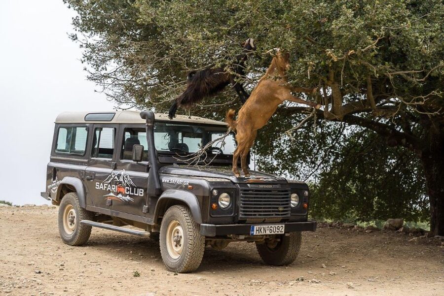 Heraklion: Sunset Safari with Dinner & Prosecco - The safari drive on the Minoan route: dirt tracks, passes, and wildlife moments