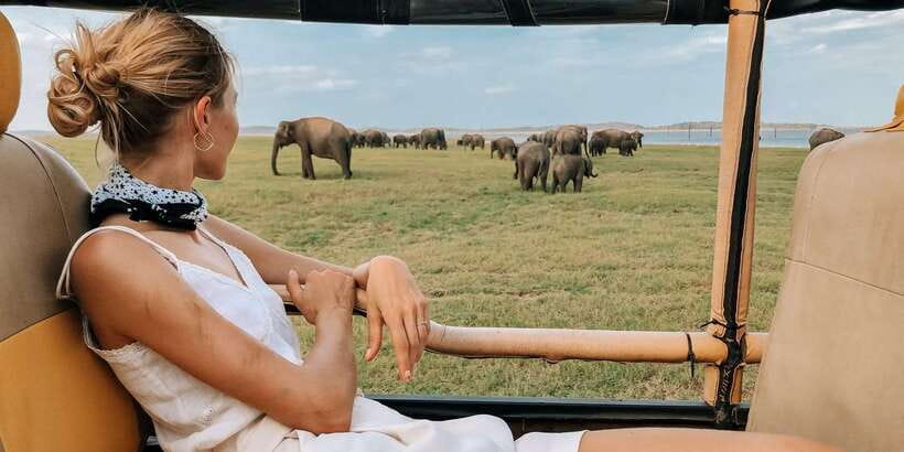 Hikkaduwa/Galle/Weligama/Mirissa/Tangalle: Yala Safari Tour - Key Takeaways Before You Go