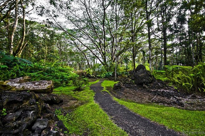Hilo Shore Excursion: Volcano Safari Lava Caves & Black Sand - The Hilo-Backroads Drive: Mango Groves, Pahoa, and Burn Scars You Can See