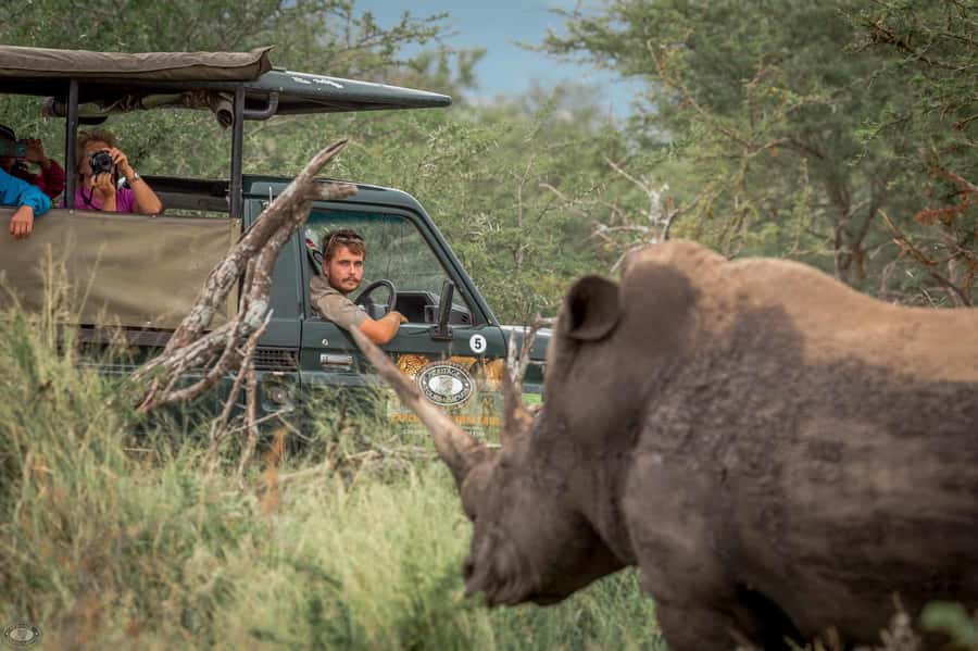 Hluhluwe-Imfolozi: Big 5 Full or Half-Day Safari - Why Hluhluwe-iMfolozi Feels Like Real South Africa