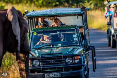 Hluhluwe-Imfolozi: Big 5 Full or Half-Day Safari - The 5:00 AM Rhythm: Full vs Half-Day Safari Timing From St Lucia