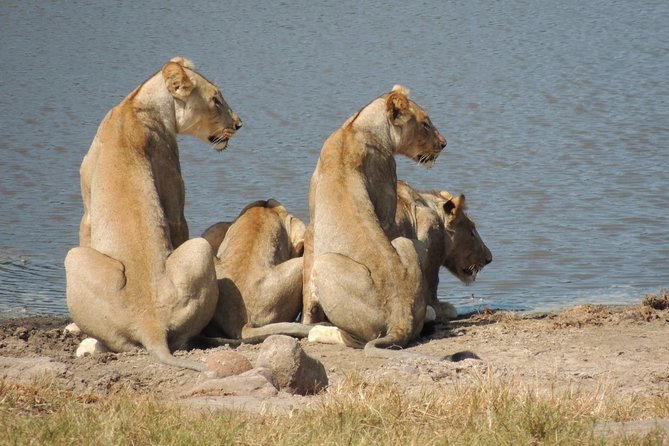 Hluhluwe/iMfolozi Game Reserve Full Day Game Drive - Hluhluwe–iMfolozi in one day: why this park works