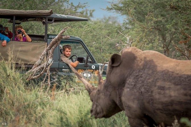Hluhluwe-Imfolozi Park Full Day Big 5 Safari Tour - Key things to know before you go