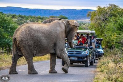 Hluhluwe-Imfolozi Park Full Day Big 5 Safari Tour - Getting In: From St Lucia to Nyalazi Gate Wilderness Area