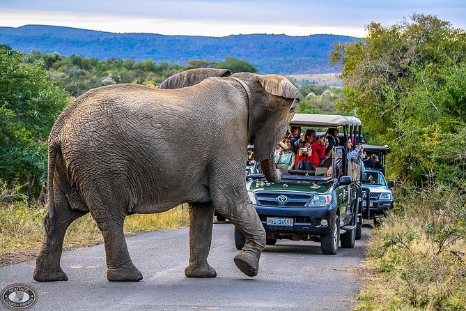 Hluhluwe-Imfolozi Park Full Day Big 5 Safari Tour - Getting In: From St Lucia to Nyalazi Gate Wilderness Area