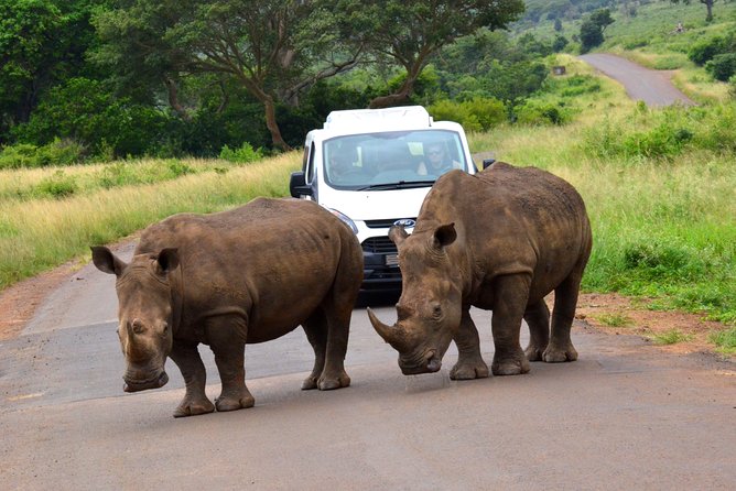 Hluhluwe Imfolozi Safari & St Lucia Boat Safari Day Tour from Durban - St Lucia River boat safari: hippos, crocs, and the art of watching quietly
