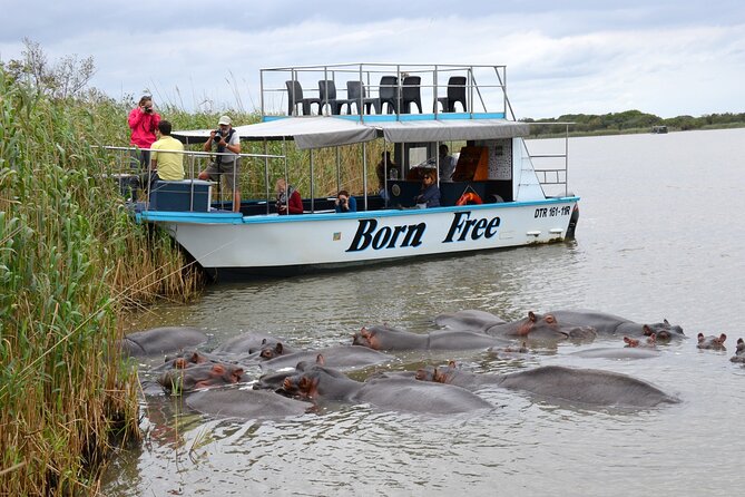 Hluhluwe Imfolozi Safari & St Lucia Boat Safari Day Tour from Durban - Hluhluwe-iMfolozi game drive: Big Five searching in Africa’s oldest reserve