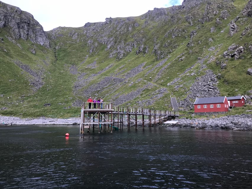 Honningsvåg: North Cape King Crab & Arctic Wildlife Safari - Should You Book This RIB Wildlife and Fish Factory Tour?