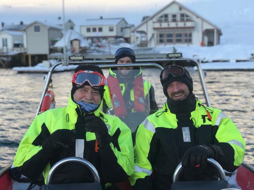 Honningsvåg: North Cape King Crab & Arctic Wildlife Safari - Wildlife Chances: Puffins, Eagles, Seals, and the Whale Wild Card