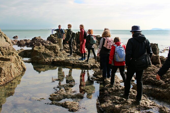 Howth Safari Hiking Tour - The coastal trail: heathland, wildlife, and Dublin Bay viewpoints